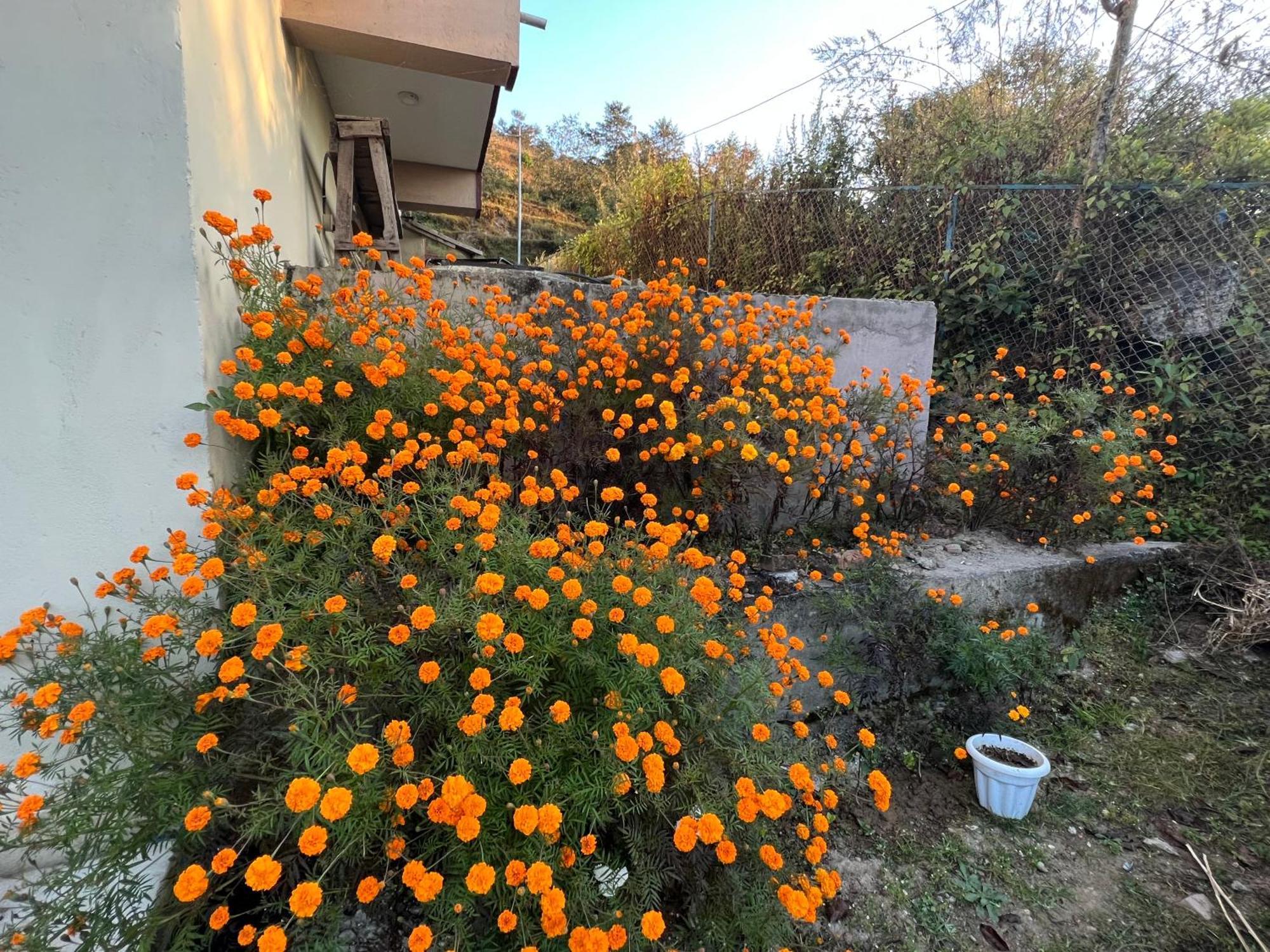 Hotel Village View Nagarkot Exterior foto